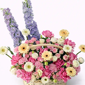 Fresh mixed basket for gifting