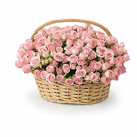 Pink Baby Roses Basket