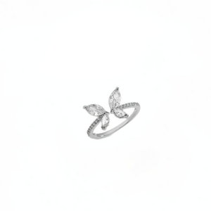 Dream wings